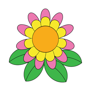 Colorful Flower Vector Artwork With Bright Botanical Floral Details