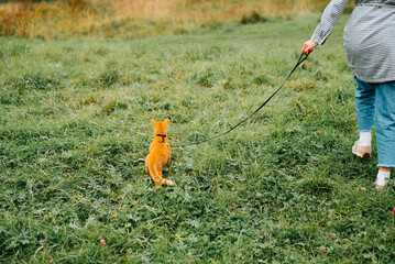 Fototapeta premium A person walks a cat on a leash through a grassy field. The setting includes green grass and some wildflowers under a clear sky