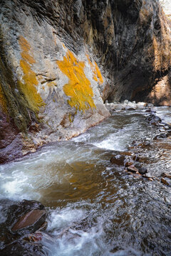 Rushing water carves through rocky canyon walls. Bright orange lichen clings to ancient stone surfaces. Foam churns where stream collides with jagged rocks. Sunlight glints off wet stones