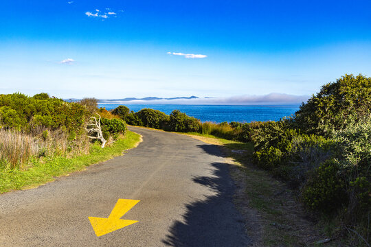 winding asphalt road with yellow arrow, coastal Hermanus in background, South Africa in late afternoon