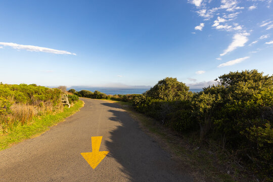 winding asphalt road with yellow arrow, coastal Hermanus in background, South Africa in late afternoon