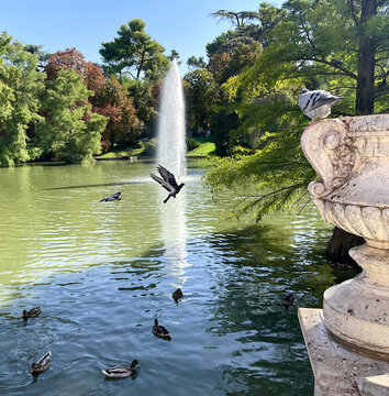 Lago en zona verde, estanque con patos, palomas en fuente y &aacute;rbol en naturaleza salvaje y frondosa con cielo azul
