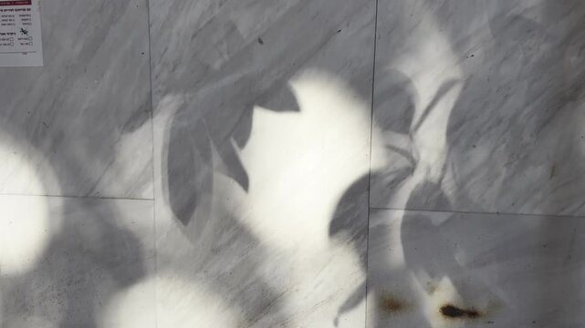 Soft circles of sunlight filtered through tree branches form a natural pattern of light and shadow across a concrete wall.