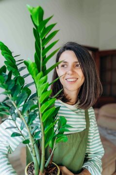 Smiling woman holds a green houseplant in a flower pot at home