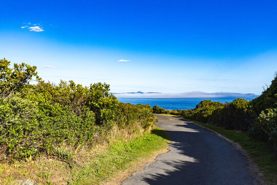 winding asphalt road with yellow arrow, coastal Hermanus in background, South Africa