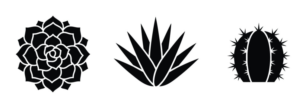 Succulent, agave and cactus silhouettes set for desert flora design, logo and sticker