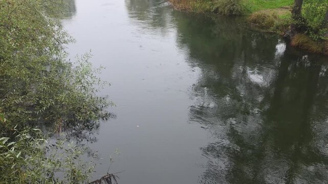 Flowing river stream with green banks and tree reflections