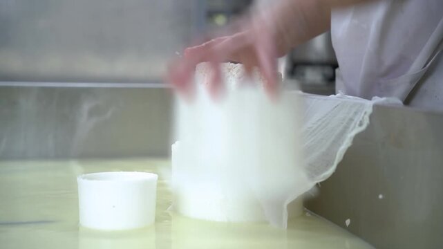 close up of hands pressing curd into cheese shape with a cloth, separate from whey, dairy plant cheese making, hand made food and craftsman