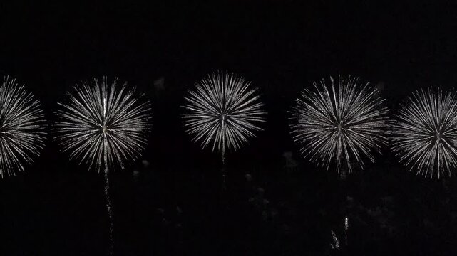 Multiple colorful fireworks exploding in the night sky