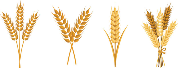 Fototapeta premium Wheat vector icon cereal grain plant harvest agriculture illustration
