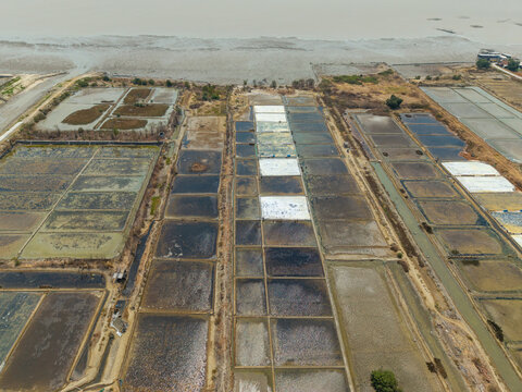 Aerial view of Salt Ponds showing the geometric grid of salt production pans with varying water levels and textures near the coastline in Kedung, Central Java, Indonesia.