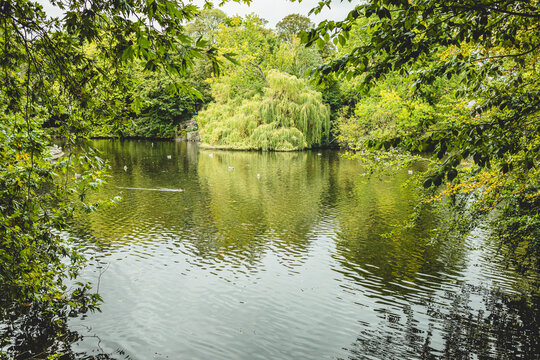 Lush Green Park Landscape with Calm Pond