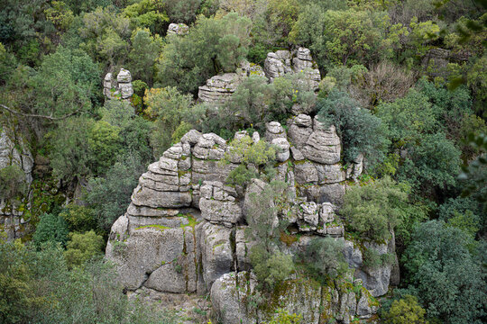 he image shows the rugged rocky cliffs and green forests of K&ouml;pr&uuml;l&uuml; Canyon National Park (specifically near Tazı Canyon) in Manavgat, Antalya, T&uuml;rkiye.