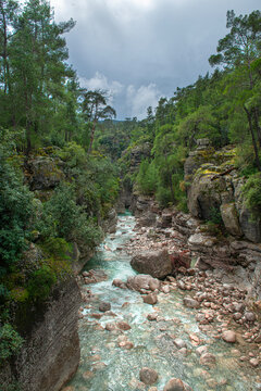 he image shows the rugged rocky cliffs and green forests of K&ouml;pr&uuml;l&uuml; Canyon National Park (specifically near Tazı Canyon) in Manavgat, Antalya, T&uuml;rkiye.