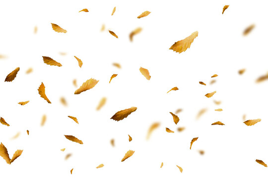 Falling autumn yellow leaves in motion isolated on transparent background