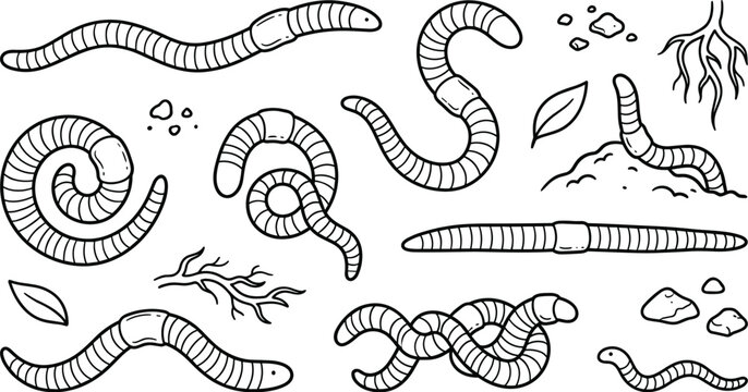 Cute hand drawn earthworm vector illustration set with crawling worms roots and leaves isolated on white background