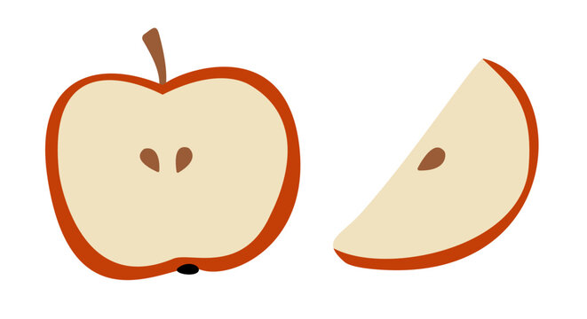 Hand-drawn apple half and slice in a flat style &ndash; vector