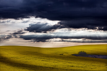 Przepadki Pod Warmińskim Bordowym Niebem  © Wojciech Lisiński