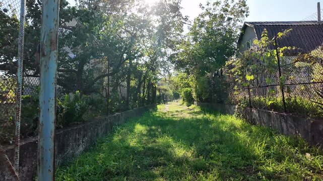 Cinematic slow camera motion through an open old rusty gate into a sunny green backyard path. Sunlight glints through overgrown trees and grass in a rustic countryside garden.