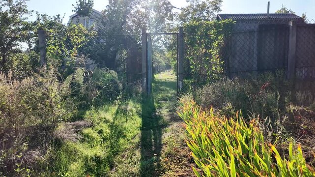Cinematic slow camera motion through an open old rusty gate into a sunny green backyard path. Sunlight glints through overgrown trees and grass in a rustic countryside garden.