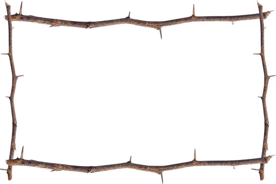 Thorny Branch Frame PNG, Dry Twig Rectangle Border with Transparent Background