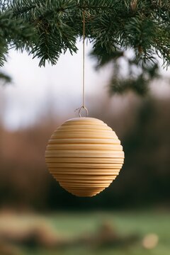 Wooden layered sphere hanging from pine branch