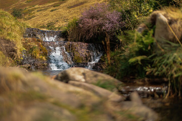 Small waterfall cascades over mossy rocks © nicholasjermy