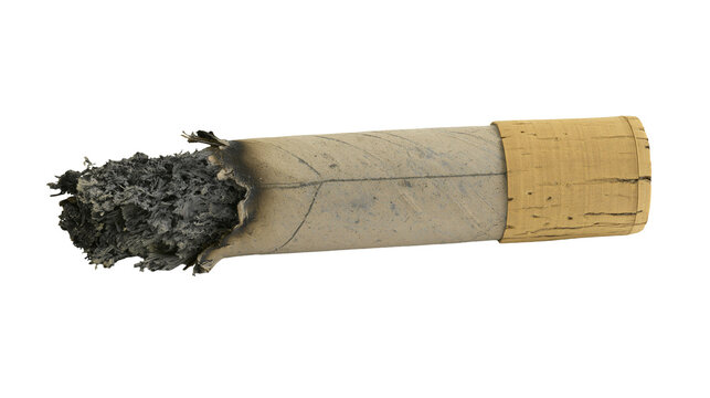 Isolated partially smoked large cannabis blunt or joint with cork filter and ashes