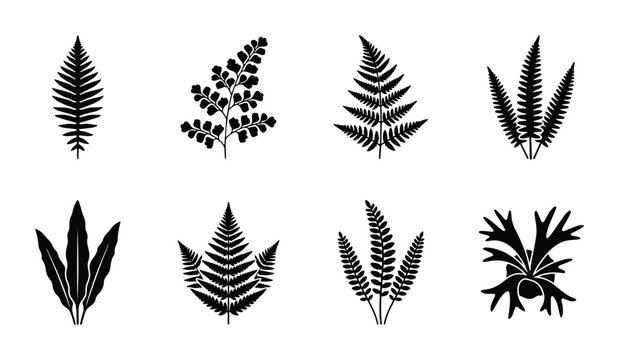 Fern leaf silhouettes set with fronds and foliage for nature design logo