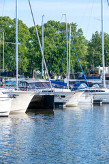 Jachty żaglowe z wysokimi masztami zacumowane w portowej marinie na tle zielonych drzew © Kamil_k2p