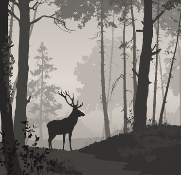 Vector background with a deer in the forest. Good detail, gray tones