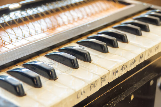 KEMEROVO, RUSSIA - SEPTEMBER 5, 2026 diagonal view of Indian harmonium keyboard showing white mother-of-pearl keys with handwritten Cyrillic with black accidental keys between them, selective focus