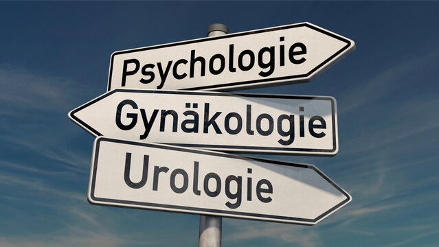 3 Wegweiser: Urologie, Gyn&auml;kologie und Psychologie