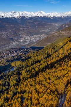 Aerial view of a larch forest in autumn, with the Rh&ocirc;ne Valley and the town of Sion in the background, Switzerland