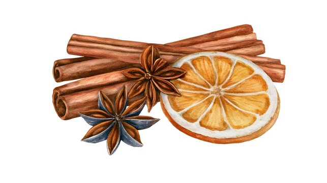 Cinnamon sticks, star anise and dried orange slice on white background