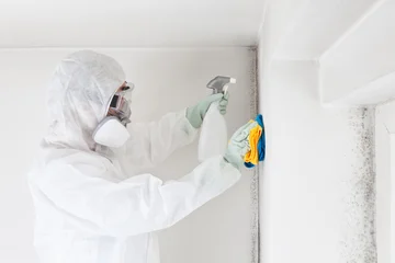 Female pest control worker in protective suit spraying treatment and holding cleaning cloths near moldy wall © amedeoemaja
