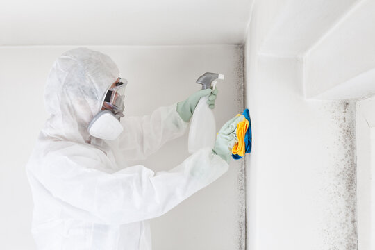 Female pest control worker in protective suit spraying treatment and holding cleaning cloths near moldy wall