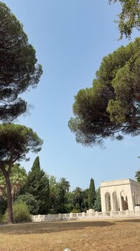 Scenic view of umbrella pine trees and the Roma o Morte monument on Gianicolo Hill under a clear blue sky.