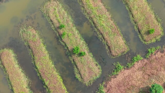 Aerial View of Cotai Ecological Reserve, Macau