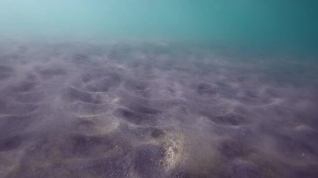 A waves in a coastal area sets sands on seabed in motion, Underwater sand storm in slow motion, Evening sun rays penetrate the surface of the water and fall in glare on the sandy sea bottom
