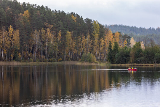 A small group in a red rowboat crosses a calm lake framed by autumn birch and pine forest, their movement creating soft reflections on the water beneath a gray, misty sky