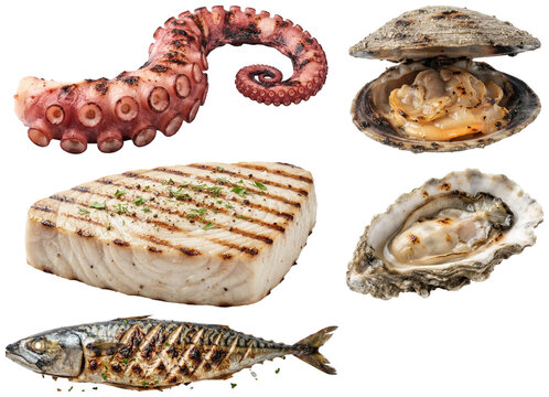 A curated set of grilled seafood items including shellfish and fish, perfect for high-end culinary and menu design projects.