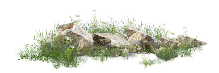 Fototapeta premium Sharp high-resolution natural landscape with rocks, green grass, and delicate wildflowers isolated on white.