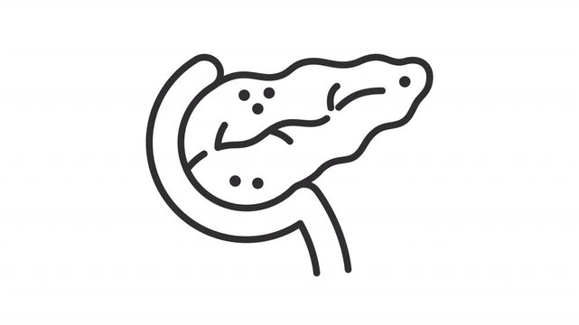 Animated pancreas outline icon. Pancreatic health support animation. Internal organ metabolic function. Gut microbiome and digestion Flat line motion graphic loop on transparent white