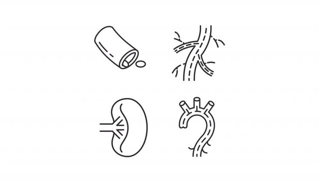 Animated cardiovascular system outline icons. Blood vessels health animation set. Deliver oxygen and nutrients while removing cellular waste. Flat line motion graphics loop on transparent white
