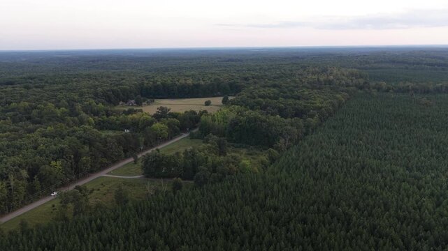 Land sold for a planned data center in Louisa County, Virginia, shows dense evergreen stands, neighboring farm fields and a winding rural road. Aerial drone wide shot