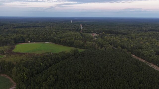 Wooded land sold for a planned data center in Louisa County, Virginia, lies beside a bright green field, with a narrow road threading the trees. Aerial view