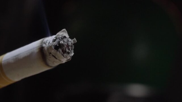 Close up of cigarette after ash falls from burnt tip revealing exposed tobacco with faint smoke and detailed charred texture against dark blurred background