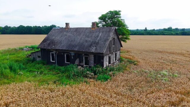 Decaying rural home among wheat fields reveals depopulation in northern Latvia