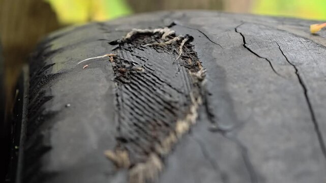 Close-up of a tire